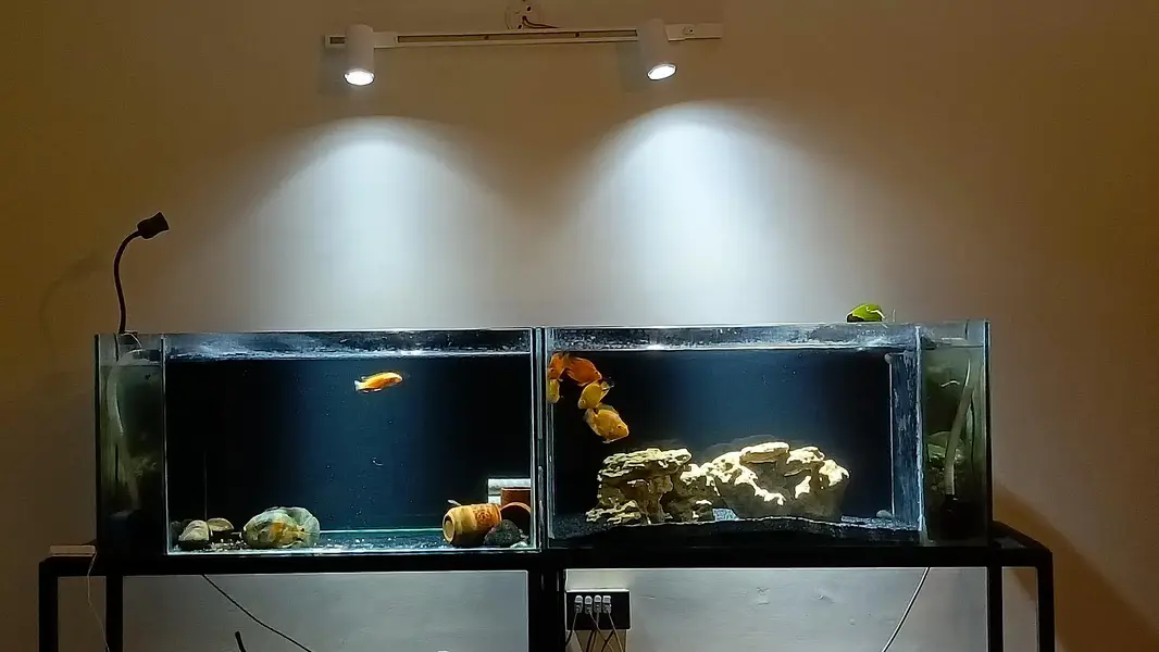 3ft aquarium with side sump