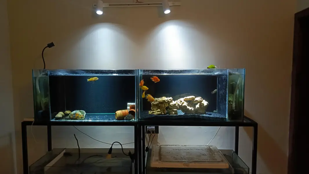 3ft aquarium with side sump — photo 2