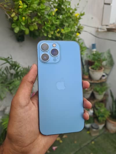 Apple iPhone 13 Pro Max