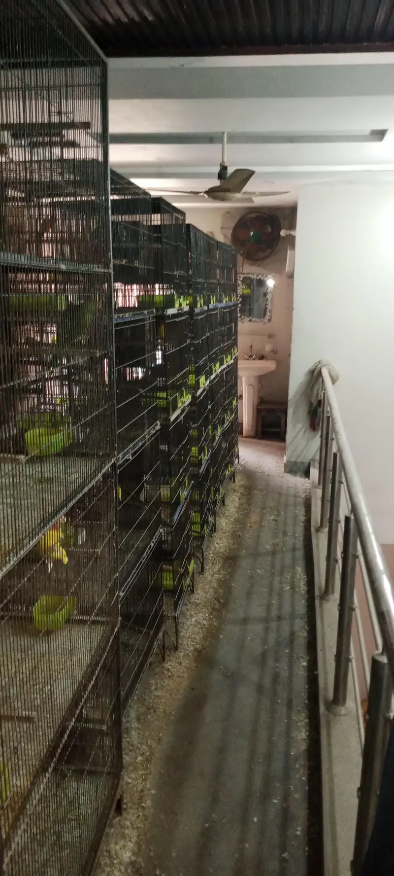 birds cages  tower cage 4 portion cage