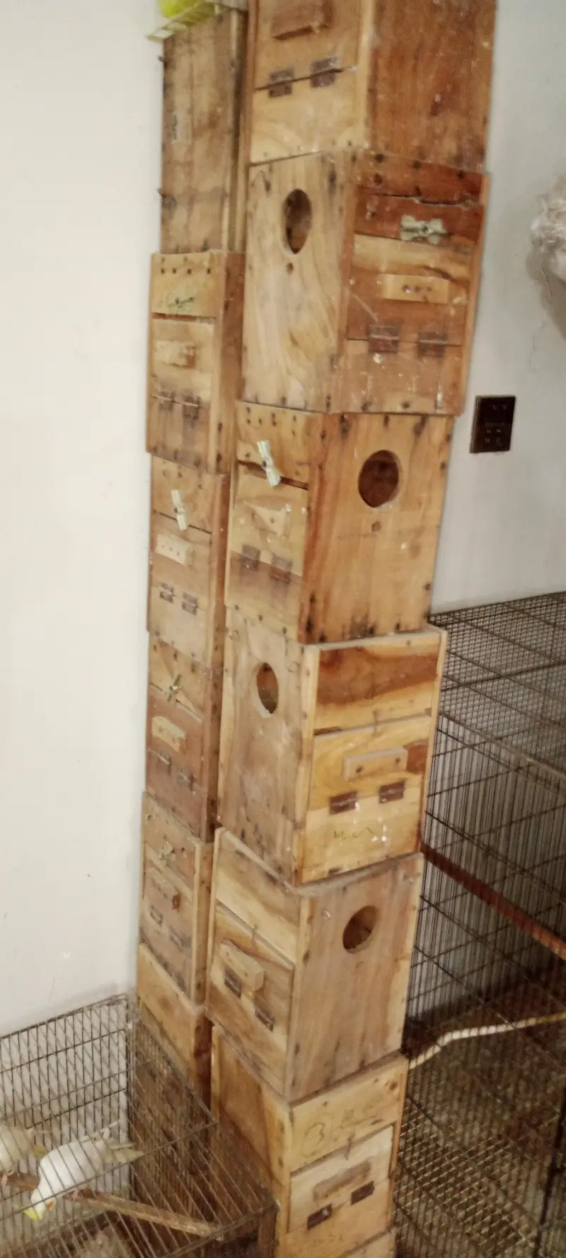 birds cages  tower cage 4 portion cage — photo 2