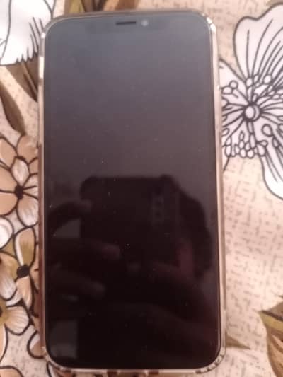 IphoneXs