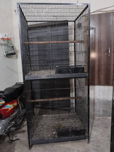 Big cage