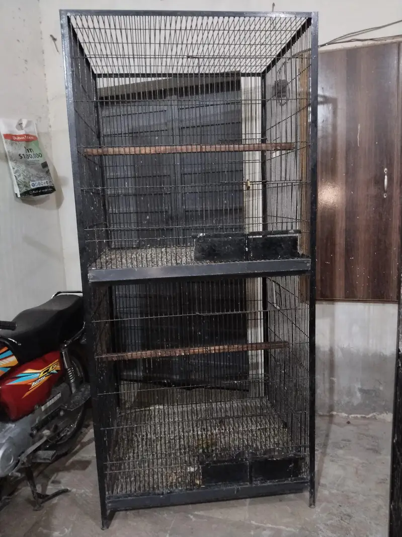 Big cage