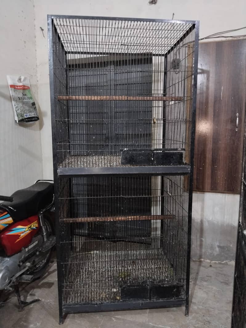 Big cage 1