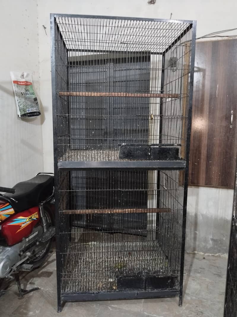 Big cage 2