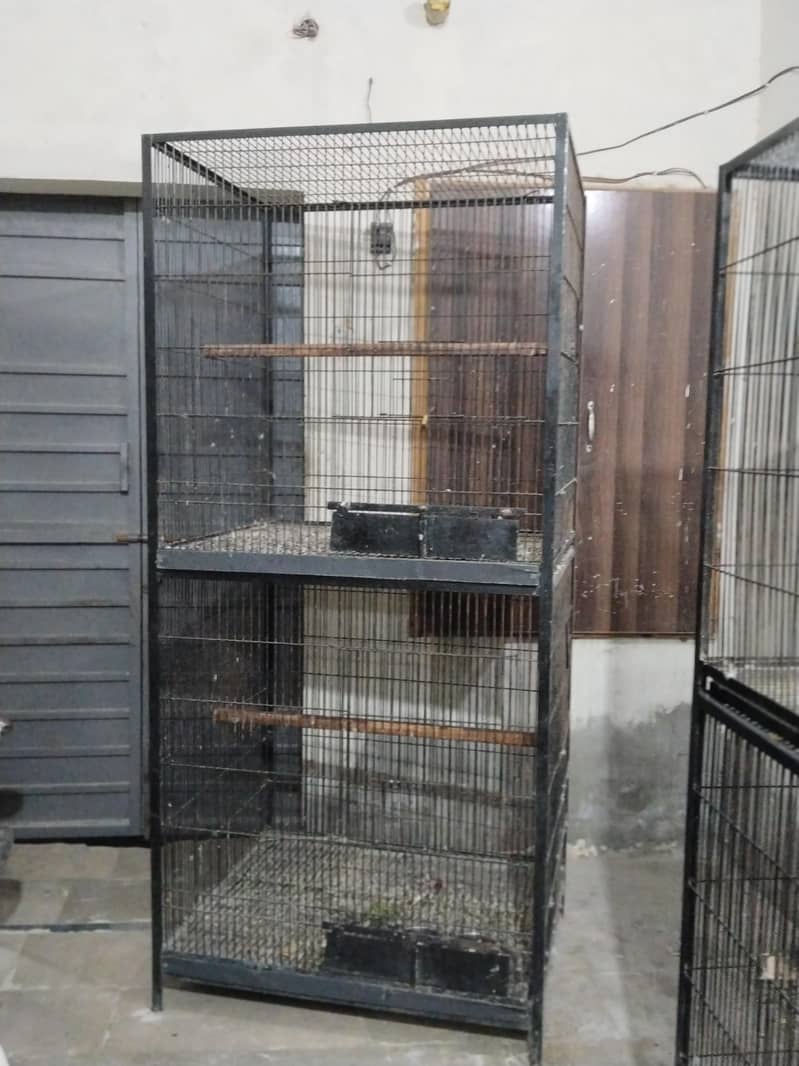Big cage 3