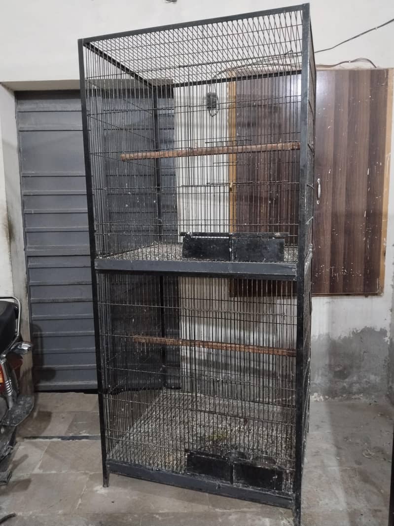 Big cage 4