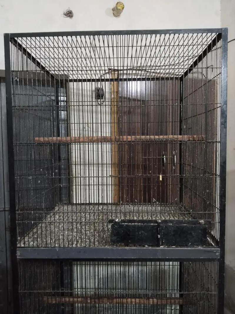 Big cage — photo 6