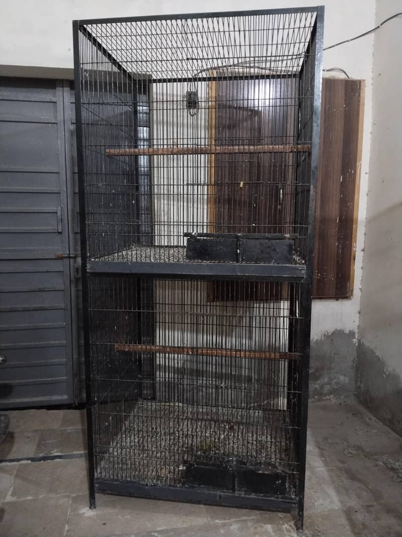 Big cage 6