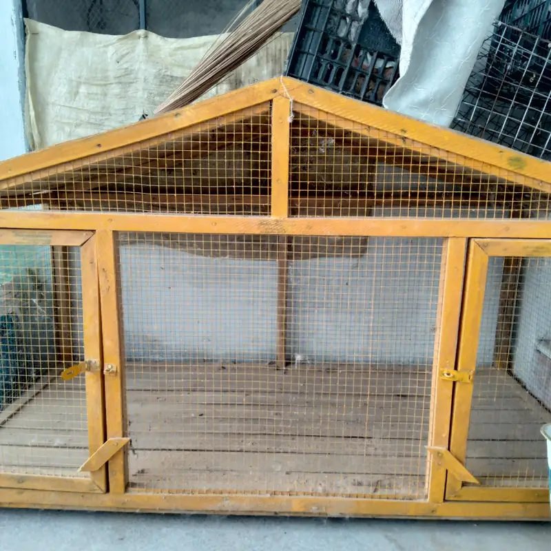 Hen Cage For Sale