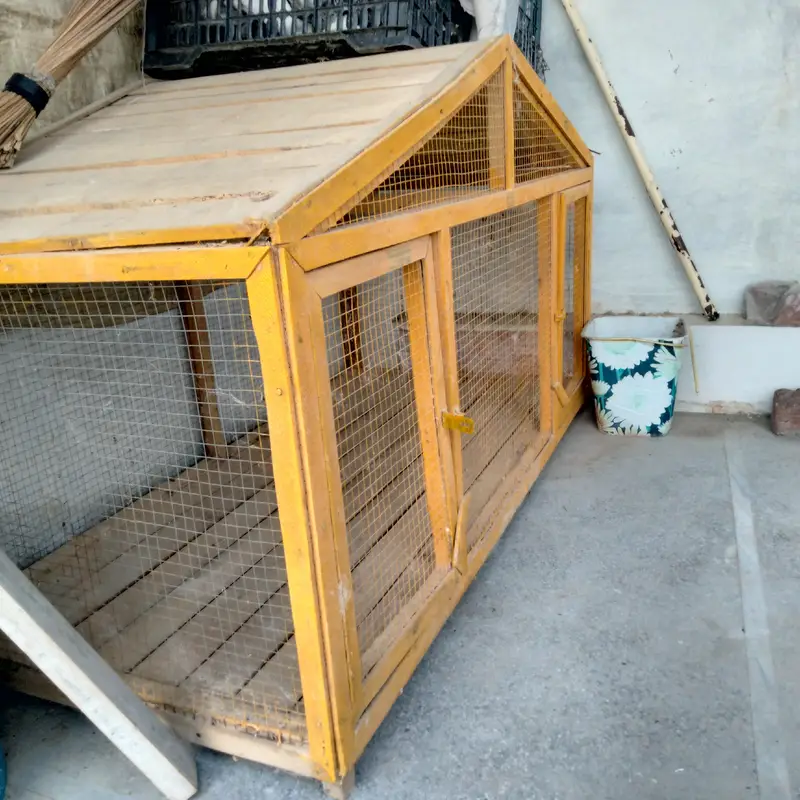 Hen Cage For Sale — photo 2