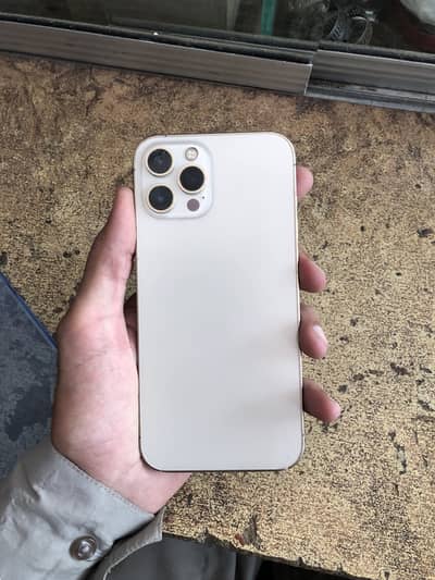 Apple iPhone 12 Pro Max