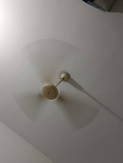 2 Fan in Good Working Condition Urgent Sale