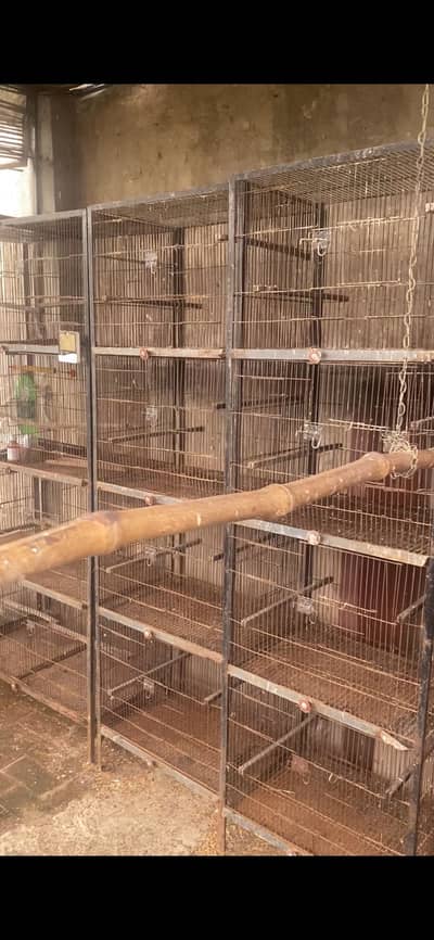 6 angle cages wire cage birds pinjra sale