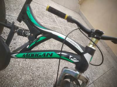 Mountain Bicycle for sale
