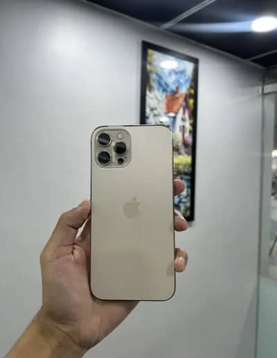 Apple iPhone 12 Pro Max PTA Approved