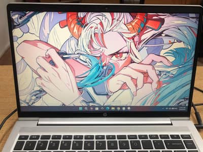 HP ProBook 445 G8 (AMD Ryzen 5 5600U with Radeon Graphics )