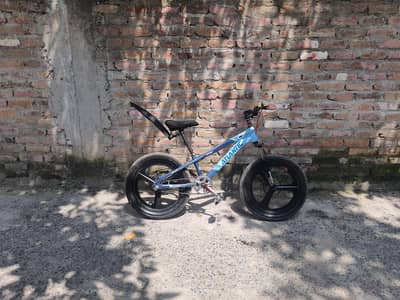 Antlantic Cycle Size 20'
