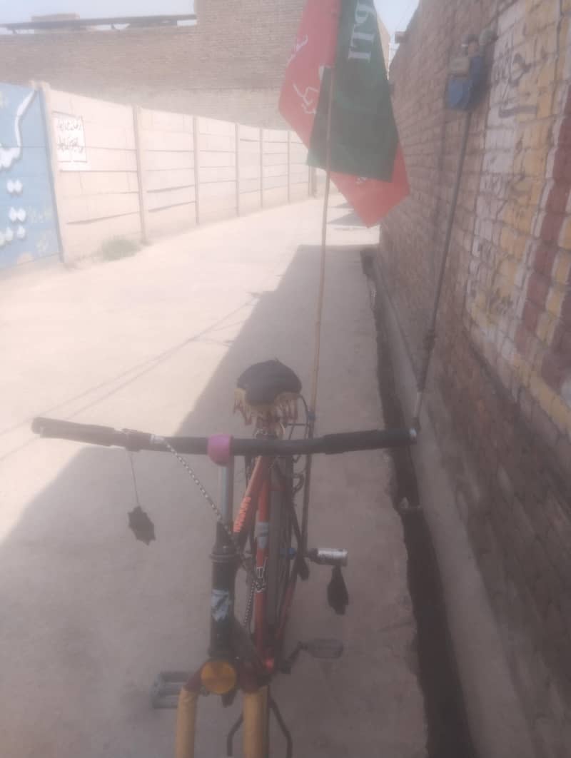 cycle 5