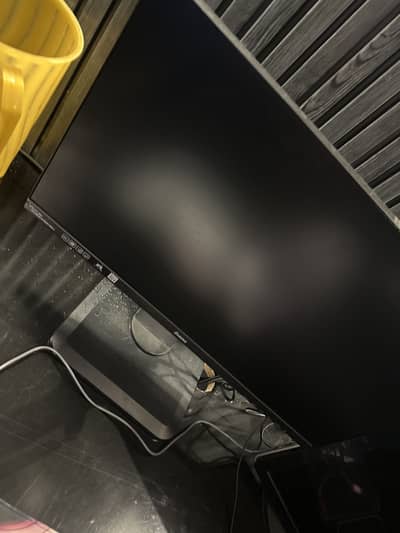 24 Inch 75 Hertz Led