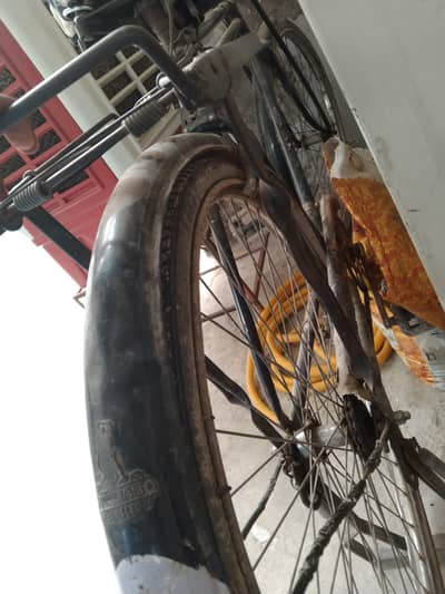 shorab cycle for sell