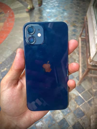 iPhone 12 Factory unlocked