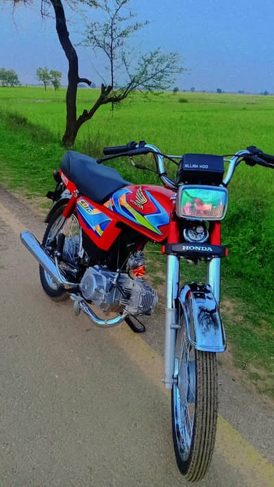 CD70 Red Colour
