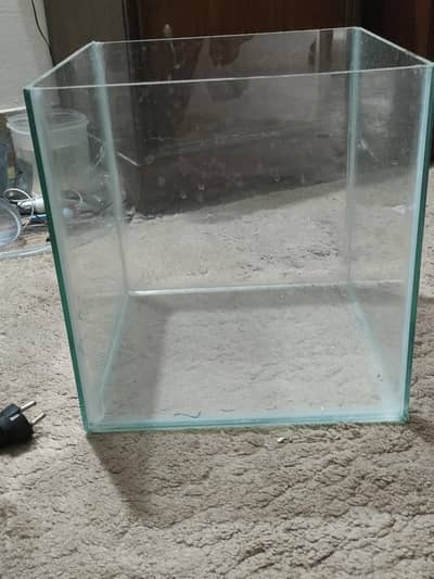 1 feet aquarium with fish's