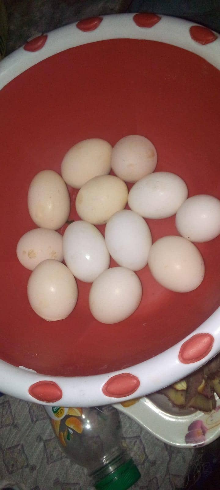 Aseels eggs 0