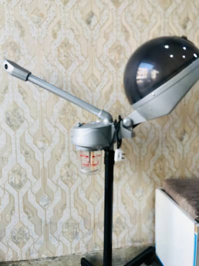 Face and Head steamer