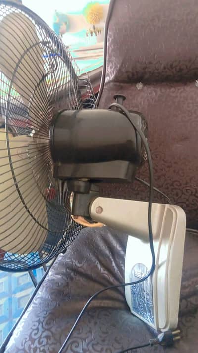 fan belvin