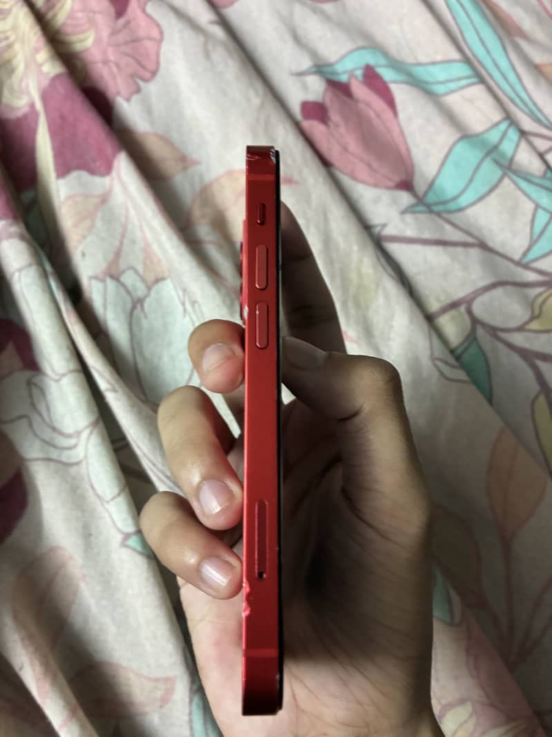 iPhone 12 mini 4