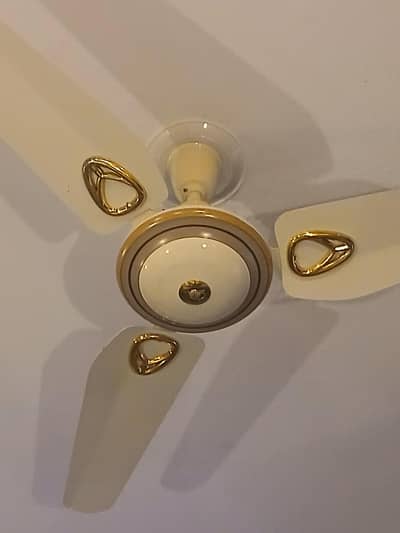 Royal fan off white colour with golden beatiful 3 fans perfact working