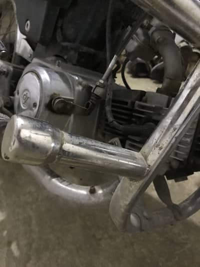 Bick for sale urgently