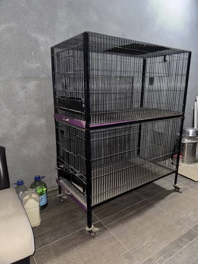 Exotic Birds Cage