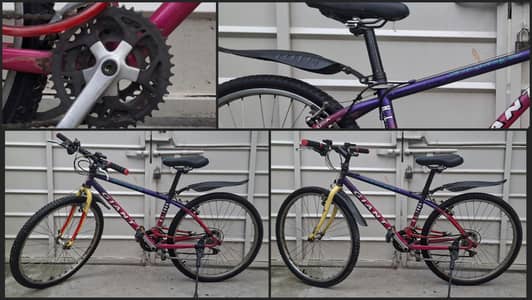Genuine Giant bike