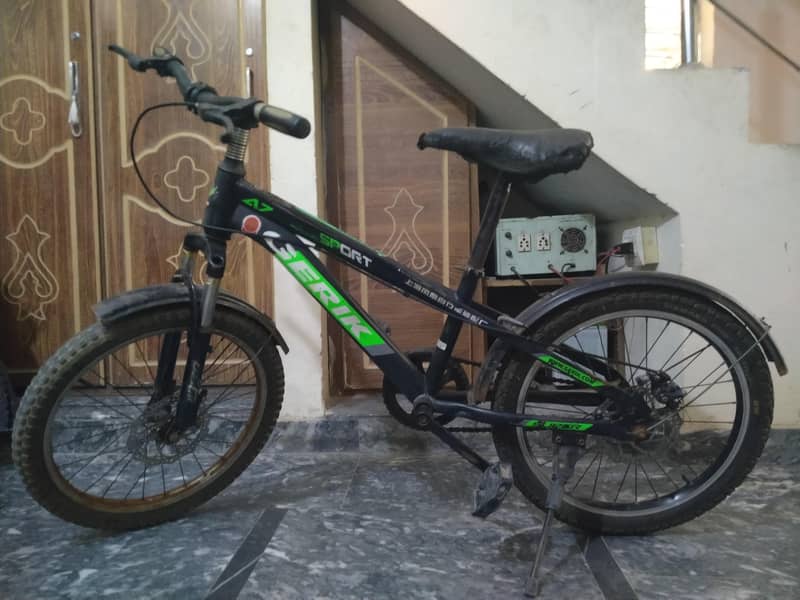 bicycle 2