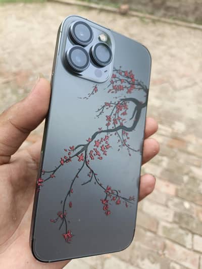 iphone 13 Pro Max 128Gb Factory Unlocke10 by 10/No Repair/water pack