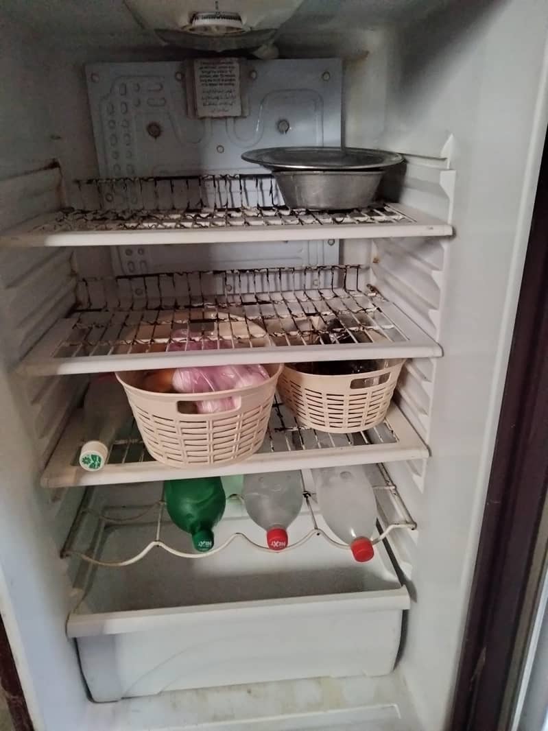 Waves Fridge 2