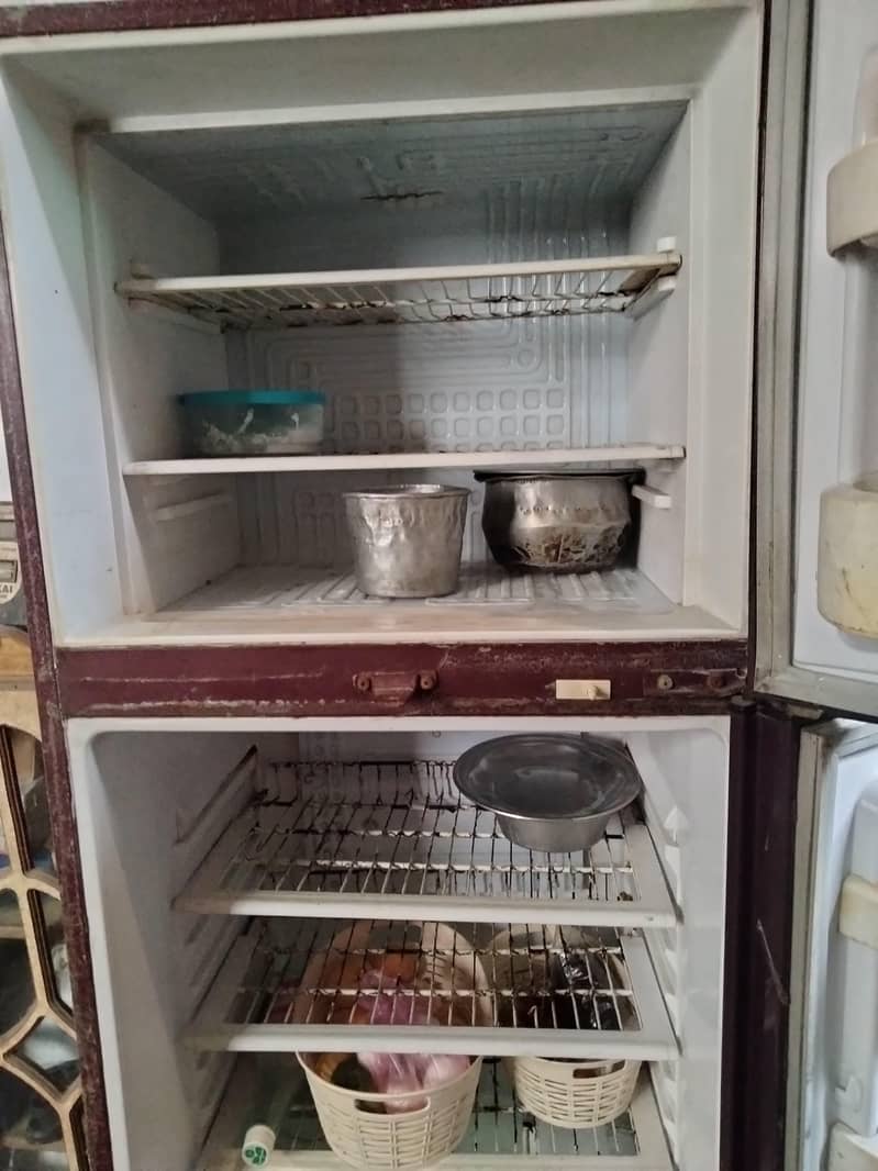 Waves Fridge 3
