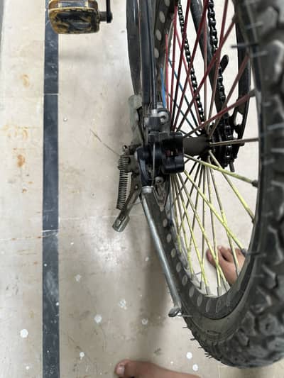 Cycle