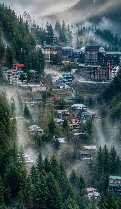 Nathia Hills Hotel Main Bazaar Nathia Gali Need Dishwasher