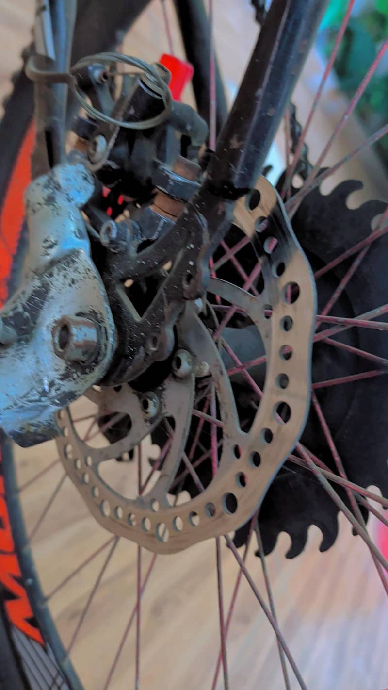good Cycle 19