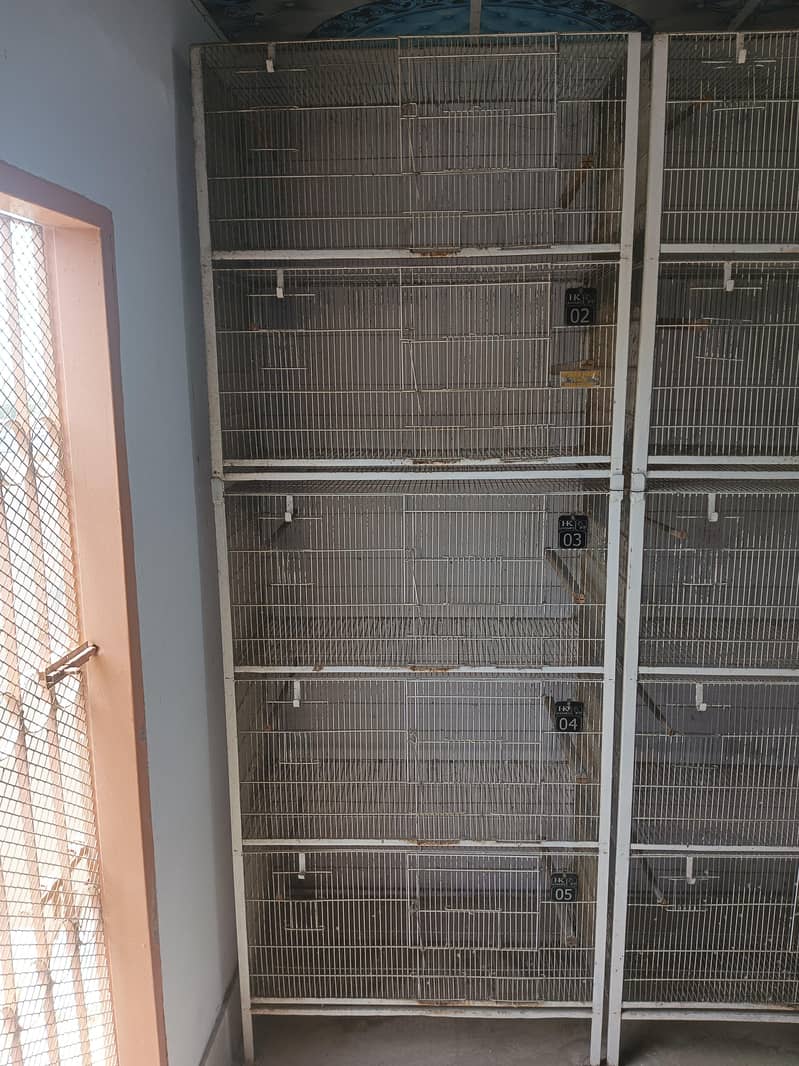 cages 1