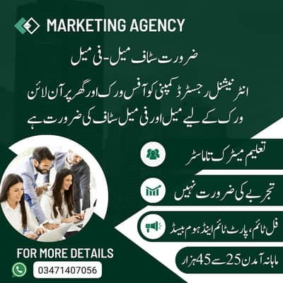 part time, full time, house based online job