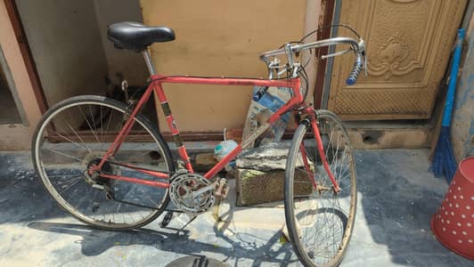 vintage bicycle for sale