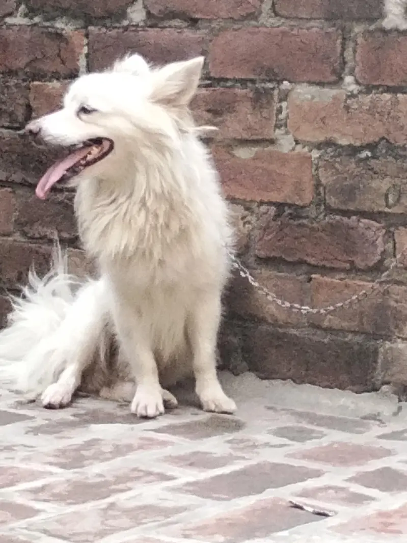 Urgent sale — photo 2