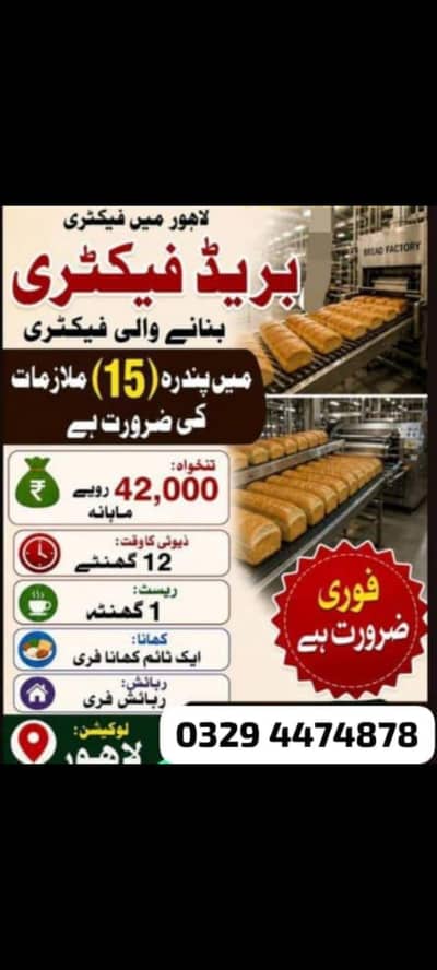 Need urgent staff required in Dawn Bread