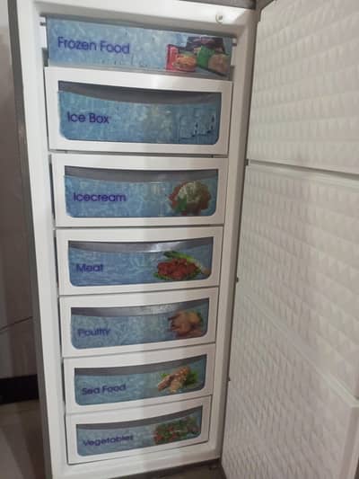Dawlance Vertical Deep Freezer – Almost New Condition!